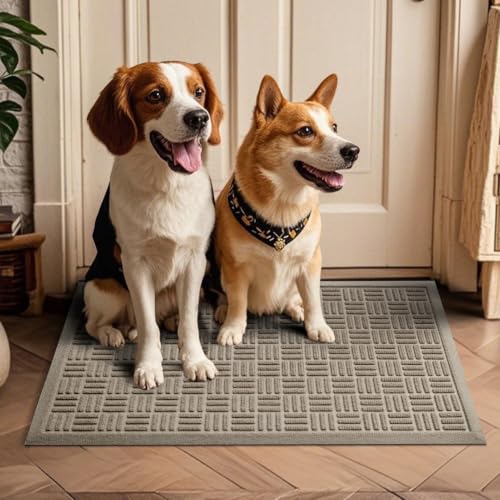 Front Door Mat Outside Entrance (Beige / 2' x 3' (Rectangular))