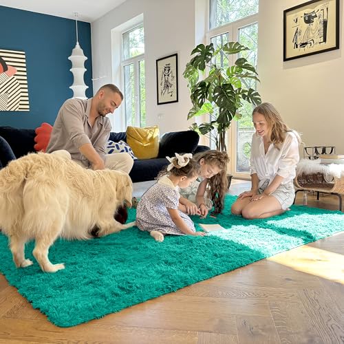 6x9 Machine Washable Large Area Rugs for Living Room (6x9 Ft / Teal Green)