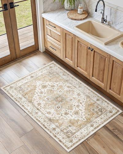 Amada Small 2x3 Washable Area Rug for Entryway (2' x 3' (Runner) / Distressed Beige/Cream)