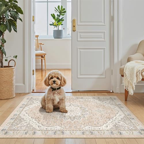 Washable Area Rug 2x3 Small Entryway Rugs Non (Pink/Gray / 2' x 3' (Rectangular))