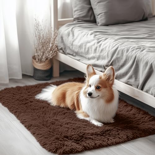 2x2 Machine Washable Small Rug (2×2 Ft Square / Coffee)