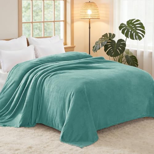 Soft Fleece Blanket Queen Size for Bed (Celadon / Queen (90" x 90"))
