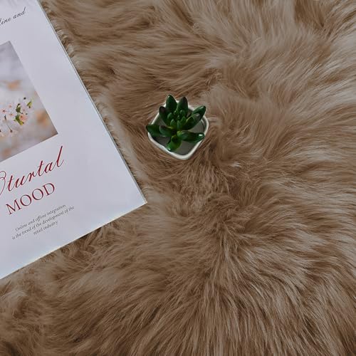 Brown Beige 2x5 Washable Small Rug Faux Sheepskin Fur Rug Fluffy Shag Rugs for Living Room Bedroom Dorm Furry Plush Rugs Cute Room Decor (2' x 5' (Runner) / Beige)