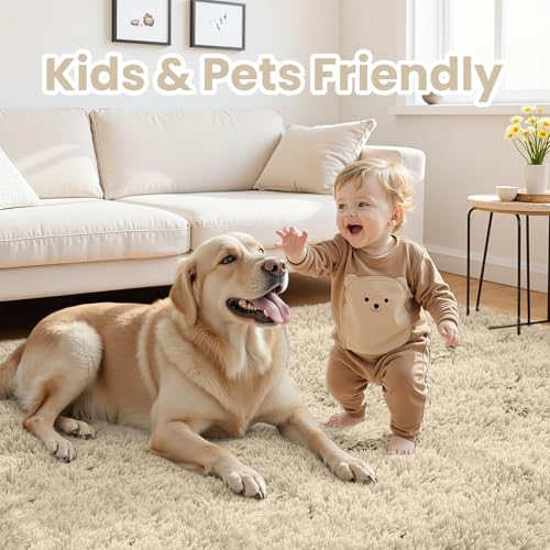 5x7 Fluffy Shag Area Rugs for Living Room Bedroom (Beige / 5' x 7' (Rectangular))