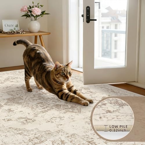 6x9 Area Rugs Living Room (Beige/Ivory / 6' x 9' (Rectangular))