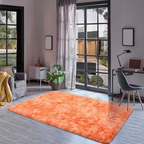 Fluffy Rug for Bedroom Living Room (4' x 6' / Orange)