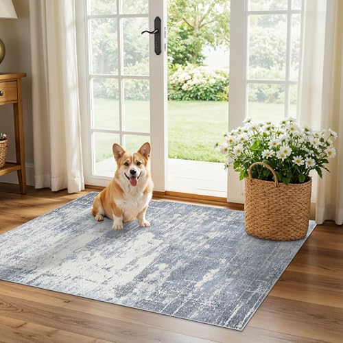 Washable 2x3 Entryway Area Rug (2' x 3' (Rectangular) / Blue/Ivory)