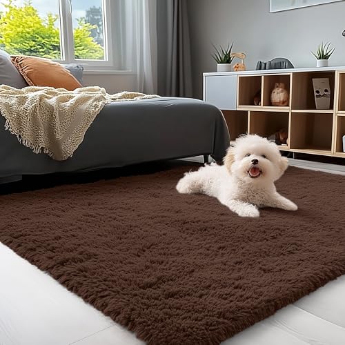 3x6 Machine Washable Runner Rugs for Hallway (3x6 Ft / Coffee)