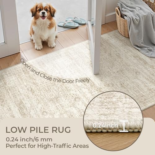 5x7 Area Rugs for Living Room (Beige/Ivory / 5' x 7' (Rectangular))