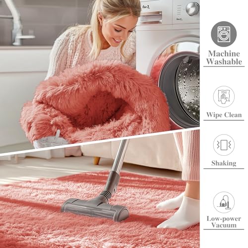 Area Rugs for Living Room Bedroom (4x5.9 Ft / Rust Red)
