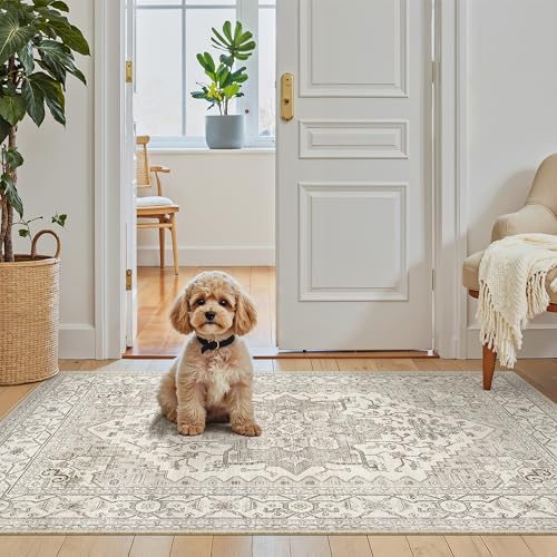 Washable Area Rug 2x4 (Beige/Brown / 2' x 4' (Rectangular))