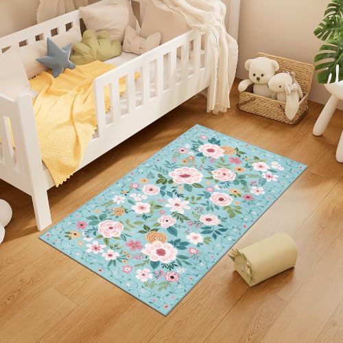 2x4 Entryway Rug (Teal / 2' x 4' (Rectangular))
