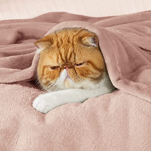 GentleSoft Fleece Throw Blanket Dusty Pink (Dusty Pink / Throw (50" X 60"))