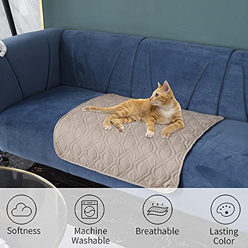 Waterproof Dog Bed Blankets Cover for Bed Couch Sofa Reversible (30x70 Inch (Pack of 1) / Cream+beige)
