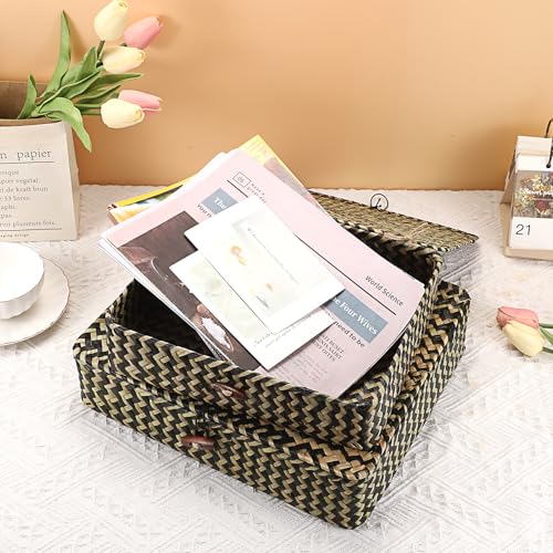 2Pcs Flat Wicker Woven Basket with Lid Natural Seagrass Storage Box (Small+Large / Black)