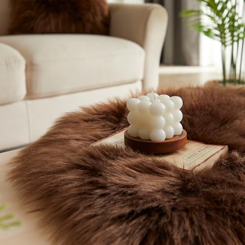 Ultra Soft Fluffy Shaggy Area Rug Faux Fur Rug Chair Cover Seat Pad Fuzzy Area Rug for Bedroom Floor Sofa Living Room (Coffee / 2' x 6' (Sheepskin))