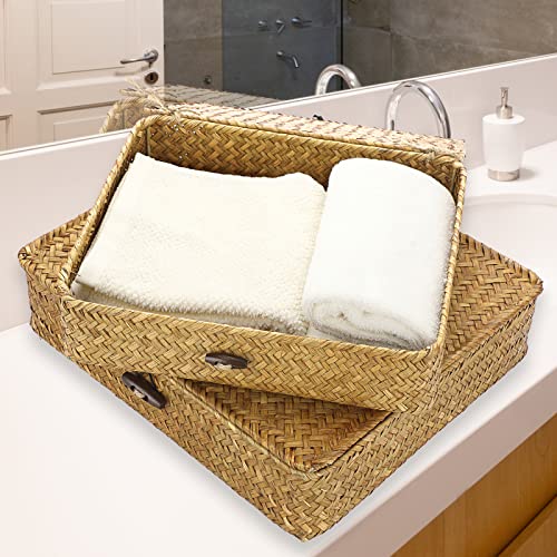 Set of 2 Flat Woven Wicker Storage Bins with Lid Seagrass Basket Box (Small+Large / Caramel)