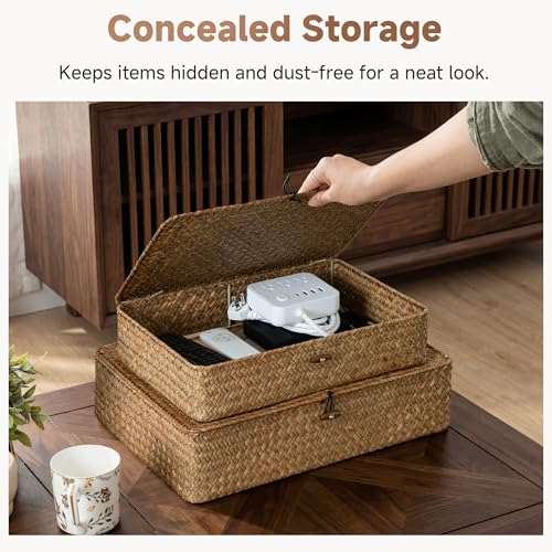 Wicker Basket with Lid (Brown(Seagrass) / 16½"L x 11¾"W x 4½"H + 14½"L x 10"W x 3¼"H)