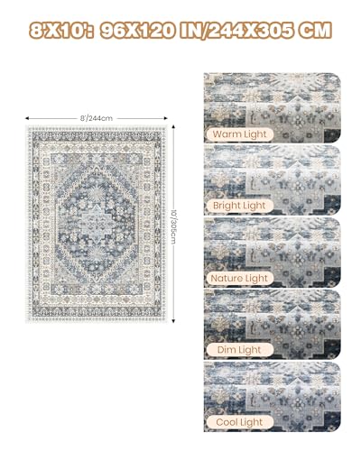 Washable Rugs 8x10 Area Rugs for Living Room (Blue/Beige / 8' x 10' (Rectangular))