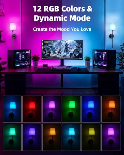 Rechargeable Wall Lights Set of 2 (Black / 24 inches)
