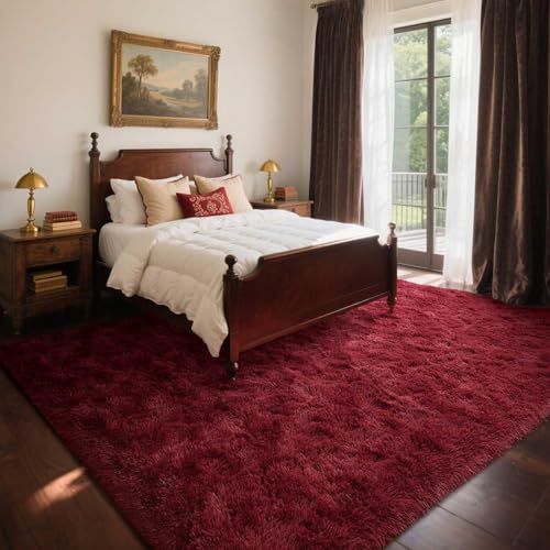 Area Rugs for Living Room (Ad Burgundy / 4' X 6' (Rectangular))
