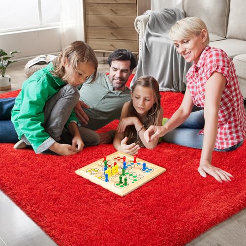 Red Shag Area Rugs for Bedroom Living Room