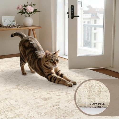 5x7 Area Rugs Living Room (Beige/Brown / 5' x 7' (Rectangular))