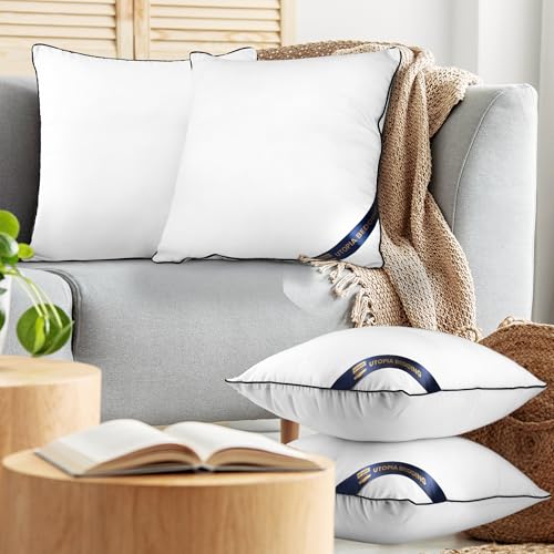 18x18 Throw Pillow Inserts (18x18 Inch)