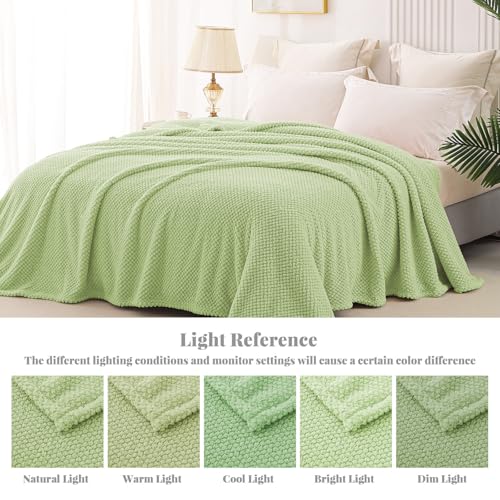 Extra Large Soft Fleece Throw Blanket for Couch (Light Green / Throw(50x70 In))