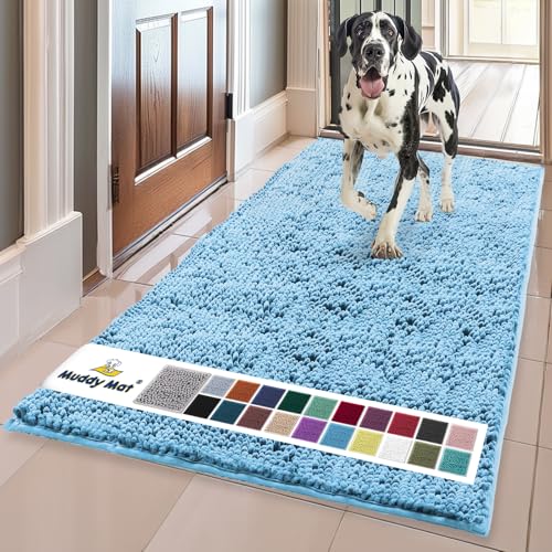 Super Water Absorbent Door Mat Indoor (Sky Blue / 36" x 60")