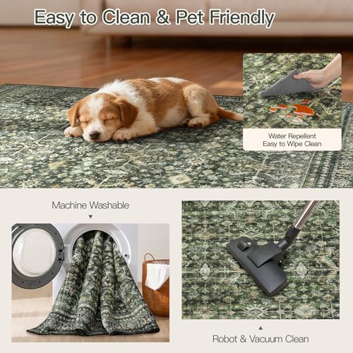 3x5 Area Rugs for Entryway (Green / 3' X 5' (Rectangular))