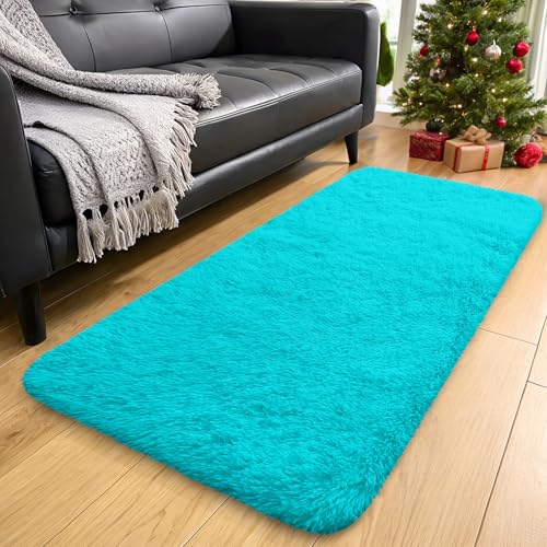 2x4 Machine Washable Runner Rugs for Hallway (2x4 Ft / Teal Blue)