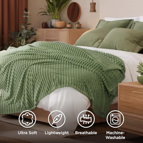 Soft Queen Size Blanket for BedReseda Green 90"x90" (Reseda / Queen)