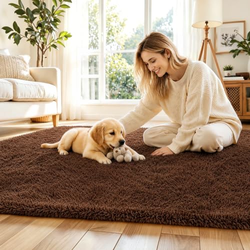 Small Shag Area Rug for Bedroom