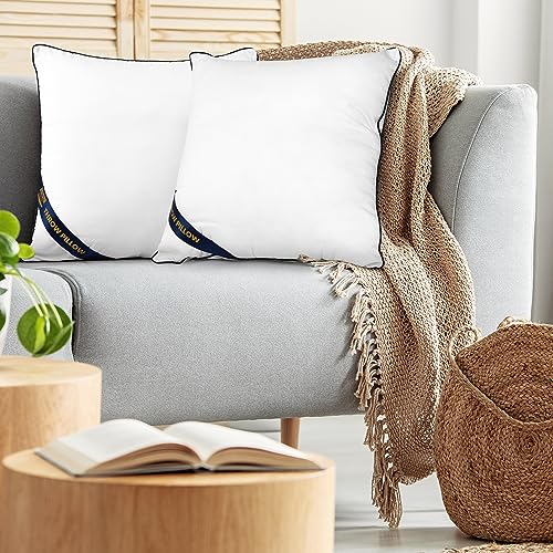 14x14 Throw Pillow Inserts (14x14 Inch)