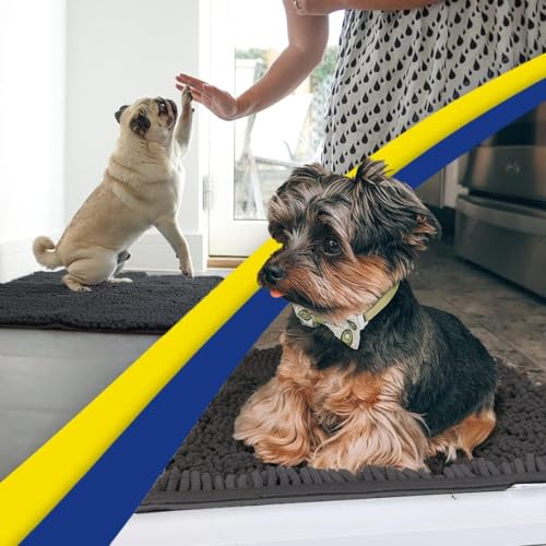 Super Water Absorbent Door Mat Indoor (Charcoal / 48" x 60")