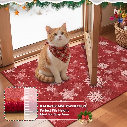 2x3 Christmas Doormat for Entryway (Red/White / 2' x 3' (Rectangular))