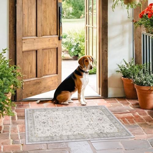 Washable 2x3 Throw Rugs for Entryway (2' x 3' (Rectangular) / Light Gray / Sage)