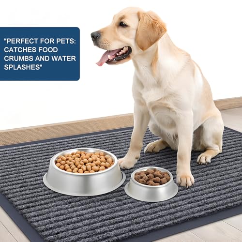 2 Pack Front Door Mats 29.5x17 (Grey / 29.5" x 17")