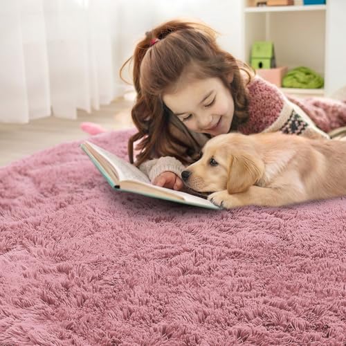 Pale Pink Round Rugs for Bedroom (6 Ft Round / Pale Pink)