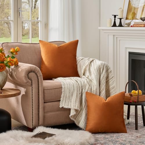Burnt Orange Velvet Throw Pillow Covers 24x24 Pack of 2 (Dark Burnt Orange / 24" x 24" (Pack of 2))