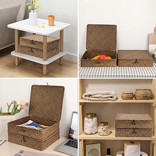 2 Packs FLat Woven Wicker Basket Bin with Lid (Large+Large / Coffee)