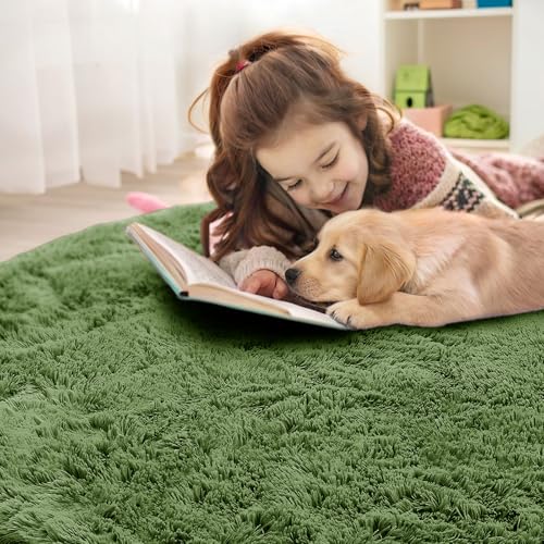 Green Round Rugs for Bedroom (6 Ft Round / Green)