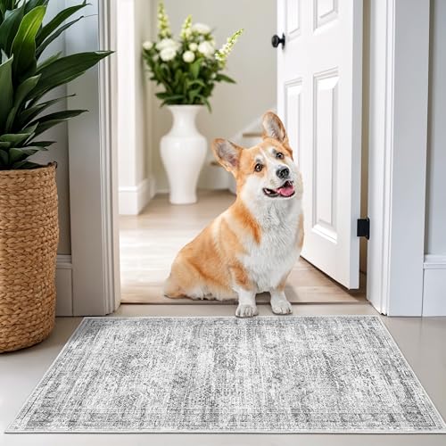 2x3 Rug Non Slip (Grey/Ivory / 2' x 3' (Rectangular))