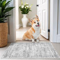 2x3 Rug Non Slip (Grey/Ivory / 2' x 3' (Rectangular))