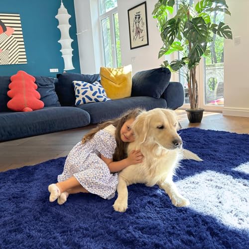 10x12 Machine Washable Large Area Rugs for Living Room (10x12 Ft / Navy Blue)
