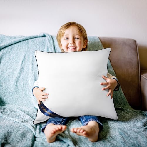 14x14 Throw Pillow Inserts (14x14 Inch)