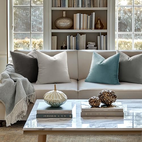 24x24 Inch Pack of 2 Euro Velvet Throw Pillow Covers Medium Gray (24" x 24" (Pack of 2) / Medium Gray)