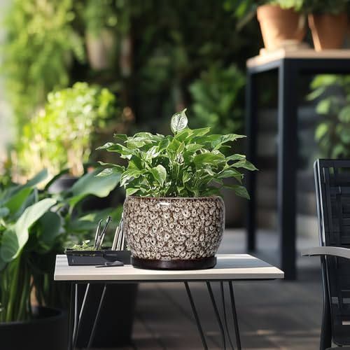 Ceramic Planter (7.8 Inch / Leopard White)
