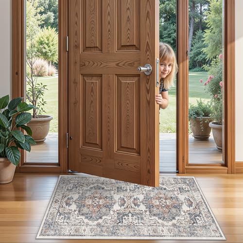 2x4 Washable Kitchen Runner Rug (2x4 / Brick)